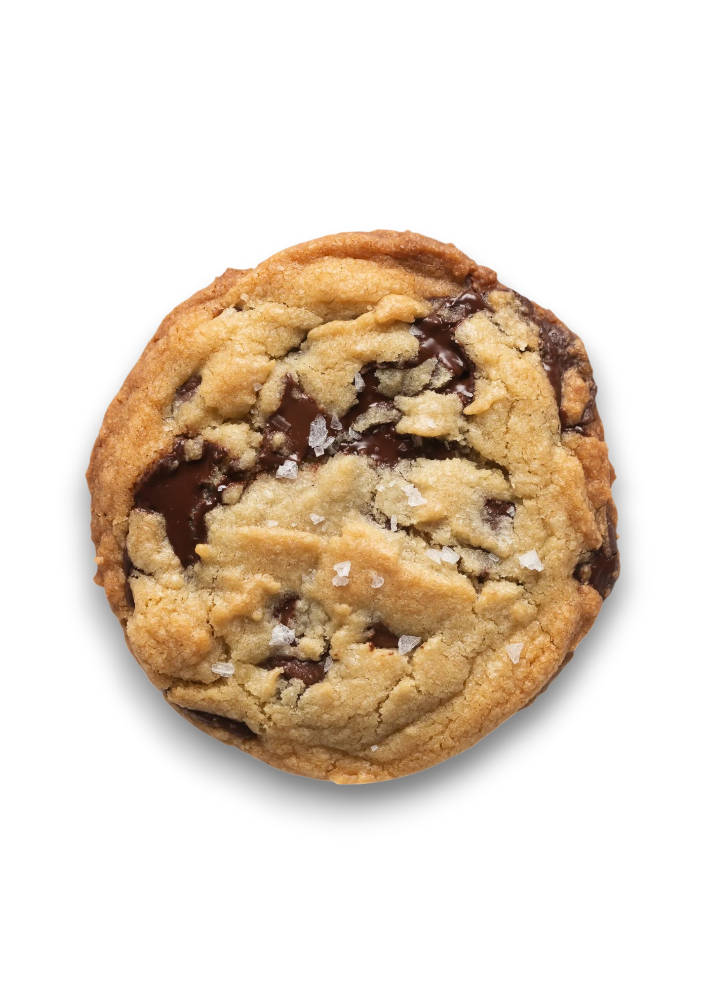 Signature Choco Chunk Cookie