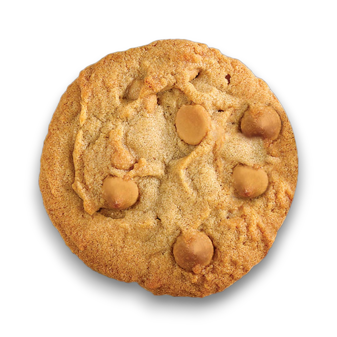 Playdough Assorted Box (Gluten Free)!